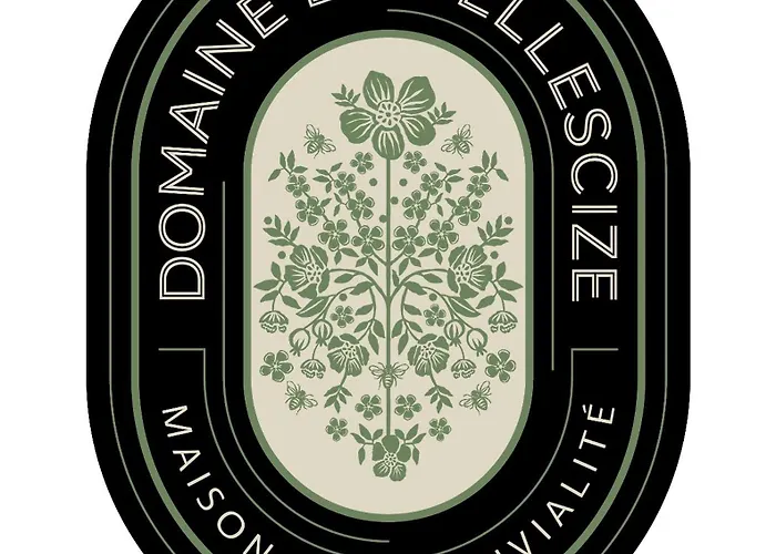 Domaine De Bellescize 3* Chasselay